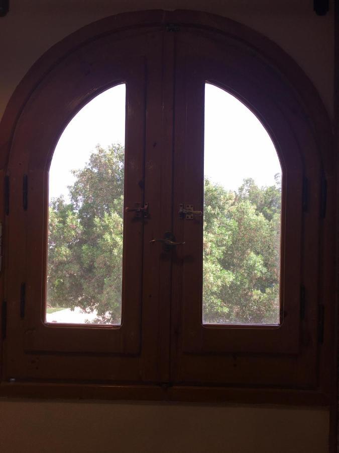 Dahab Home Bed&Breakfast Kültér fotó